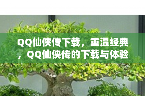 QQ仙侠传的下载与体验图片