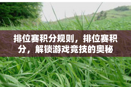 排位赛积分规则，排位赛积分，解锁游戏竞技的奥秘