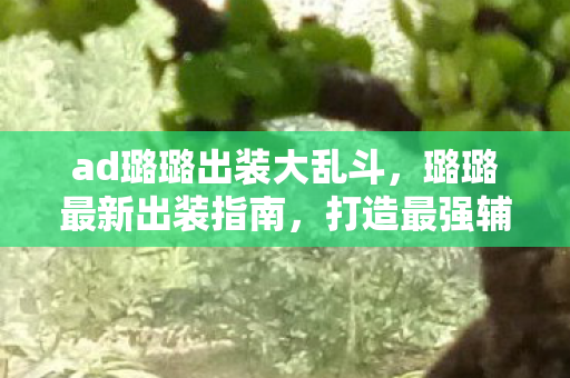 ad璐璐出装大乱斗图片