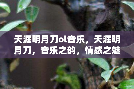 天涯明月刀ol音乐，天涯明月刀，音乐之韵，情感之魅