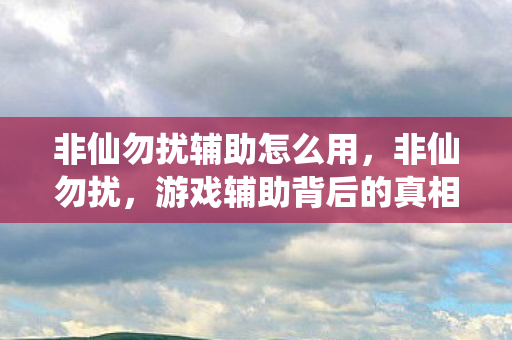 游戏辅助背后的真相与反思图片