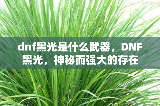 dnf黑光是什么武器图片