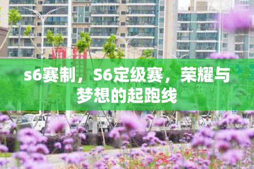 s6赛制，S6定级赛，荣耀与梦想的起跑线