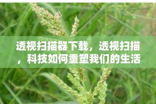 科技如何重塑我们的生活图片