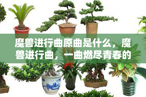 一曲燃尽青春的游戏赞歌图片