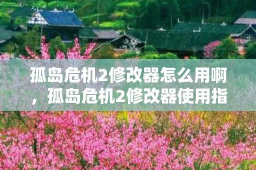 孤岛危机2修改器怎么用啊图片