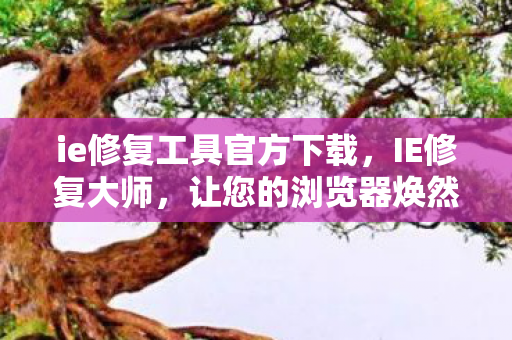 ie修复工具官方下载，IE修复大师，让您的浏览器焕然一新