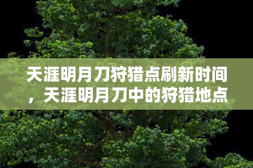 天涯明月刀狩猎点刷新时间，天涯明月刀中的狩猎地点，探索自然之美