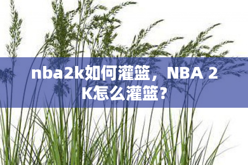 nba2k如何灌篮，NBA 2K怎么灌篮？