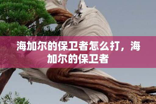 海加尔的保卫者怎么打，海加尔的保卫者