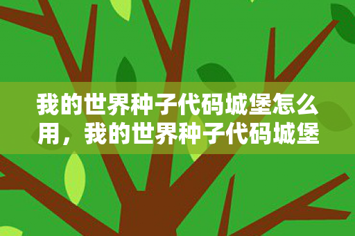 我的世界种子代码城堡怎么用，我的世界种子代码城堡，探索神秘城堡的奇妙之旅
