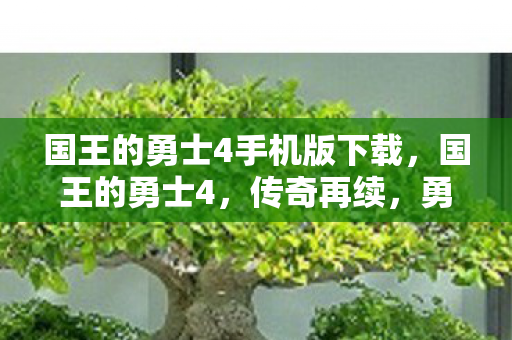 国王的勇士4手机版下载，国王的勇士4，传奇再续，勇者之路的终极挑战