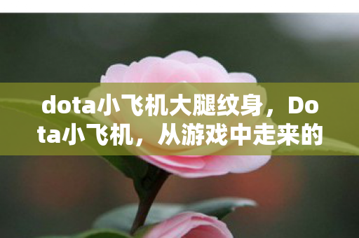 dota小飞机大腿纹身图片