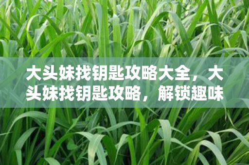 大头妹找钥匙攻略大全图片