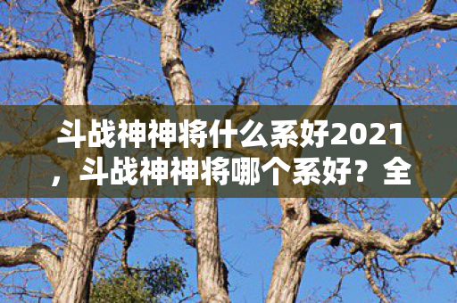 斗战神神将什么系好2021图片