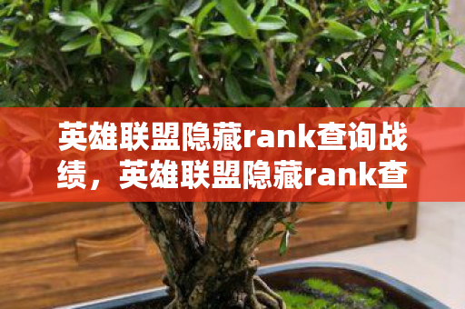 英雄联盟隐藏rank查询战绩图片