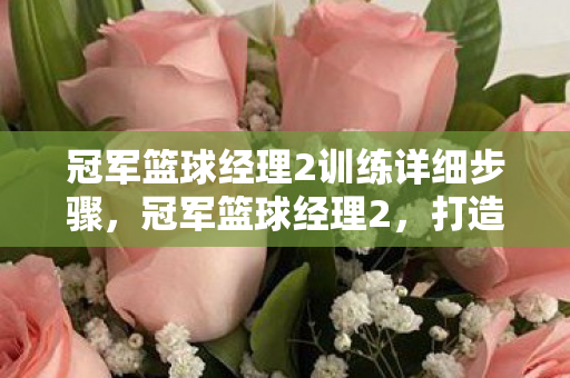 冠军篮球经理2训练详细步骤图片