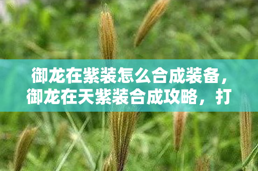 御龙在紫装怎么合成装备图片