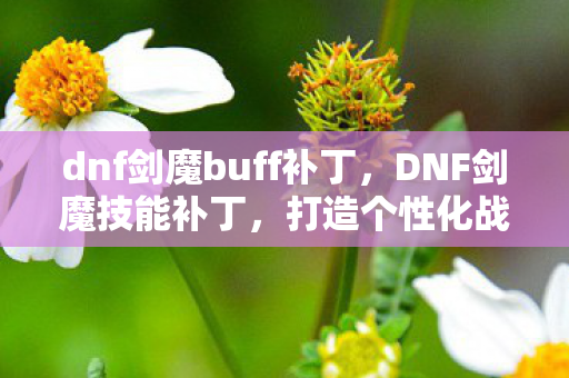 dnf剑魔buff补丁图片