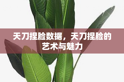 天刀捏脸数据，天刀捏脸的艺术与魅力