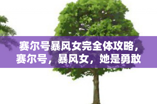 赛尔号暴风女完全体攻略图片