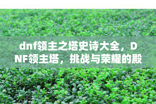 dnf领主之塔史诗大全图片