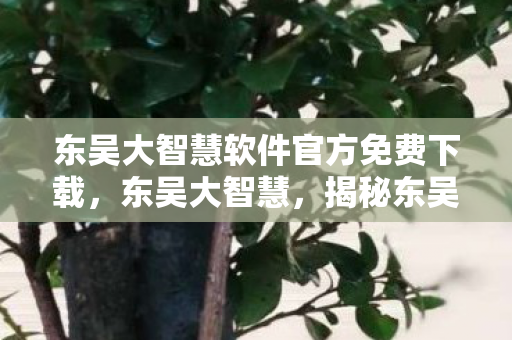 东吴大智慧软件官方免费下载图片