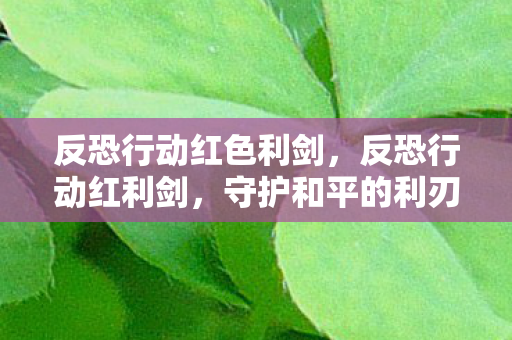 反恐行动红色利剑，反恐行动红利剑，守护和平的利刃