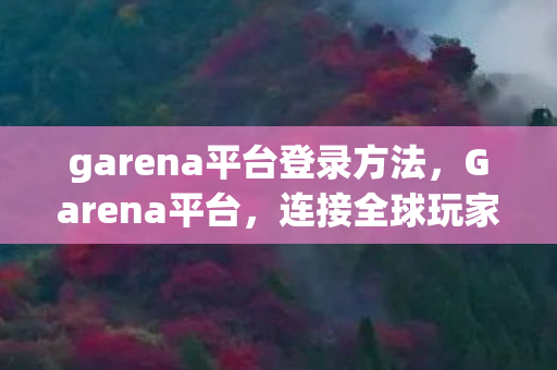 garena平台登录方法图片