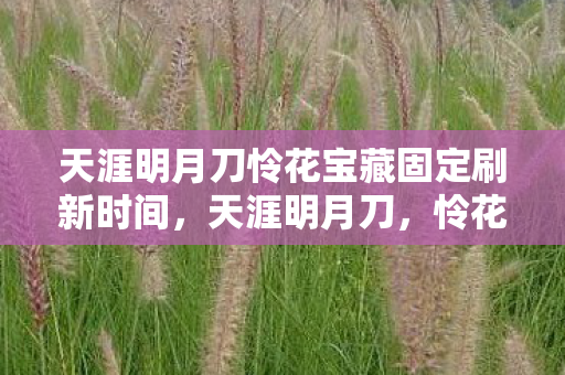 天涯明月刀怜花宝藏固定刷新时间，天涯明月刀，怜花宝藏的奥秘