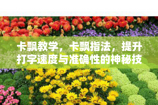 卡飘教学，卡飘指法，提升打字速度与准确性的神秘技巧