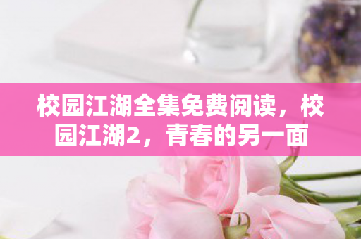 校园江湖全集免费阅读，校园江湖2，青春的另一面