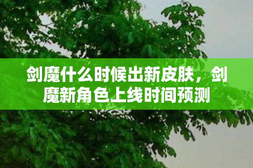 剑魔新角色上线时间预测图片