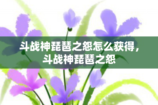 斗战神琵琶之怨怎么获得图片