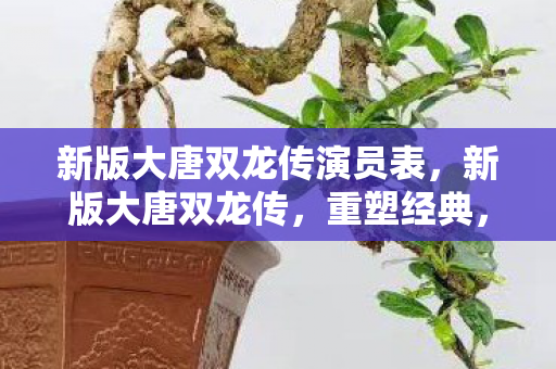 新版大唐双龙传演员表图片