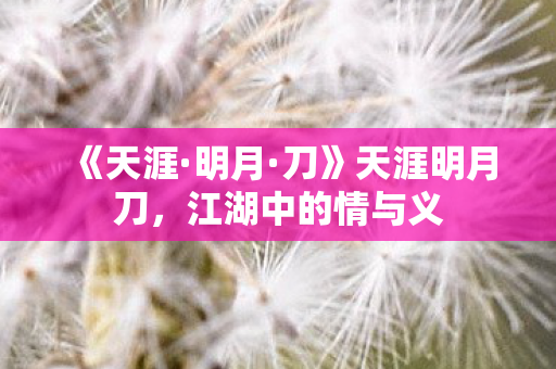 《天涯·明月·刀》天涯明月刀，江湖中的情与义