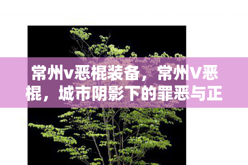 城市阴影下的罪恶与正义图片