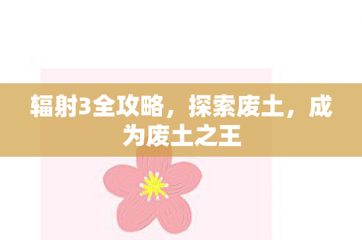 辐射3全攻略图片