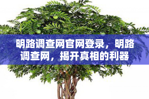 明路调查网官网登录图片