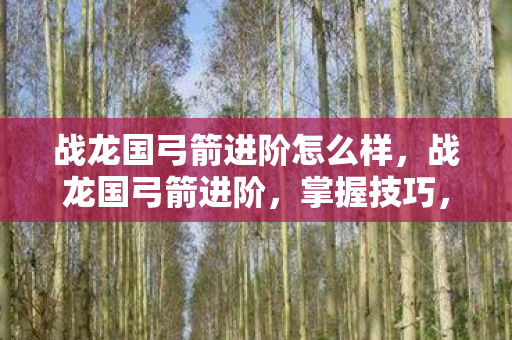 战龙国弓箭进阶怎么样图片