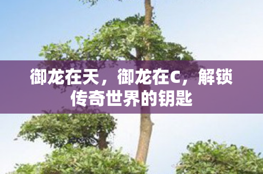 解锁传奇世界的钥匙图片