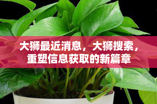 重塑信息获取的新篇章图片