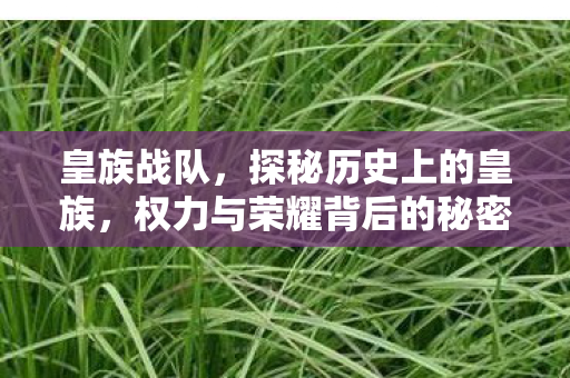 权力与荣耀背后的秘密图片