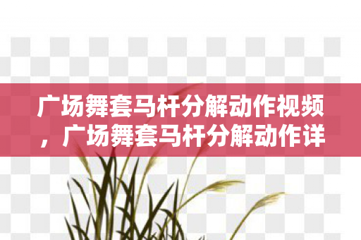 广场舞套马杆分解动作视频图片