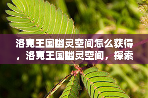 洛克王国幽灵空间怎么获得图片