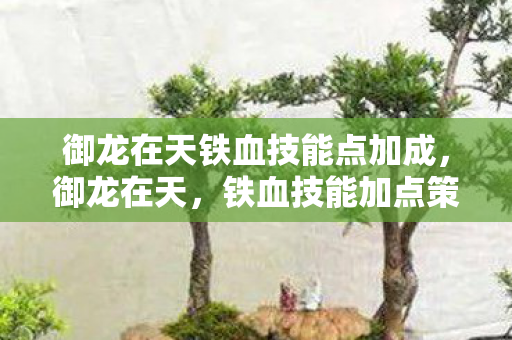 御龙在天铁血技能点加成图片