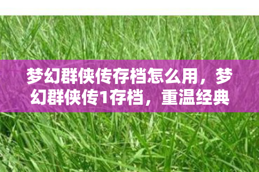 梦幻群侠传存档怎么用图片