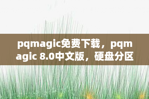 硬盘分区与数据恢复的神兵利器图片