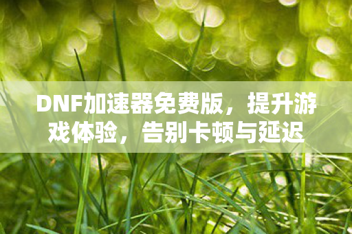 DNF加速器免费版图片