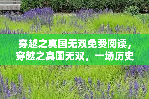 一场历史与现代的奇妙交织图片